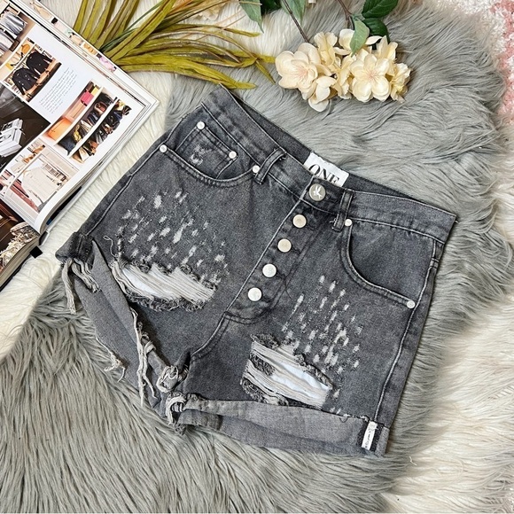 One Teaspoon Outlaws Gray Low Waist Long Rise Button Fly Denim Shorts Sz 0 - Picture 1 of 11